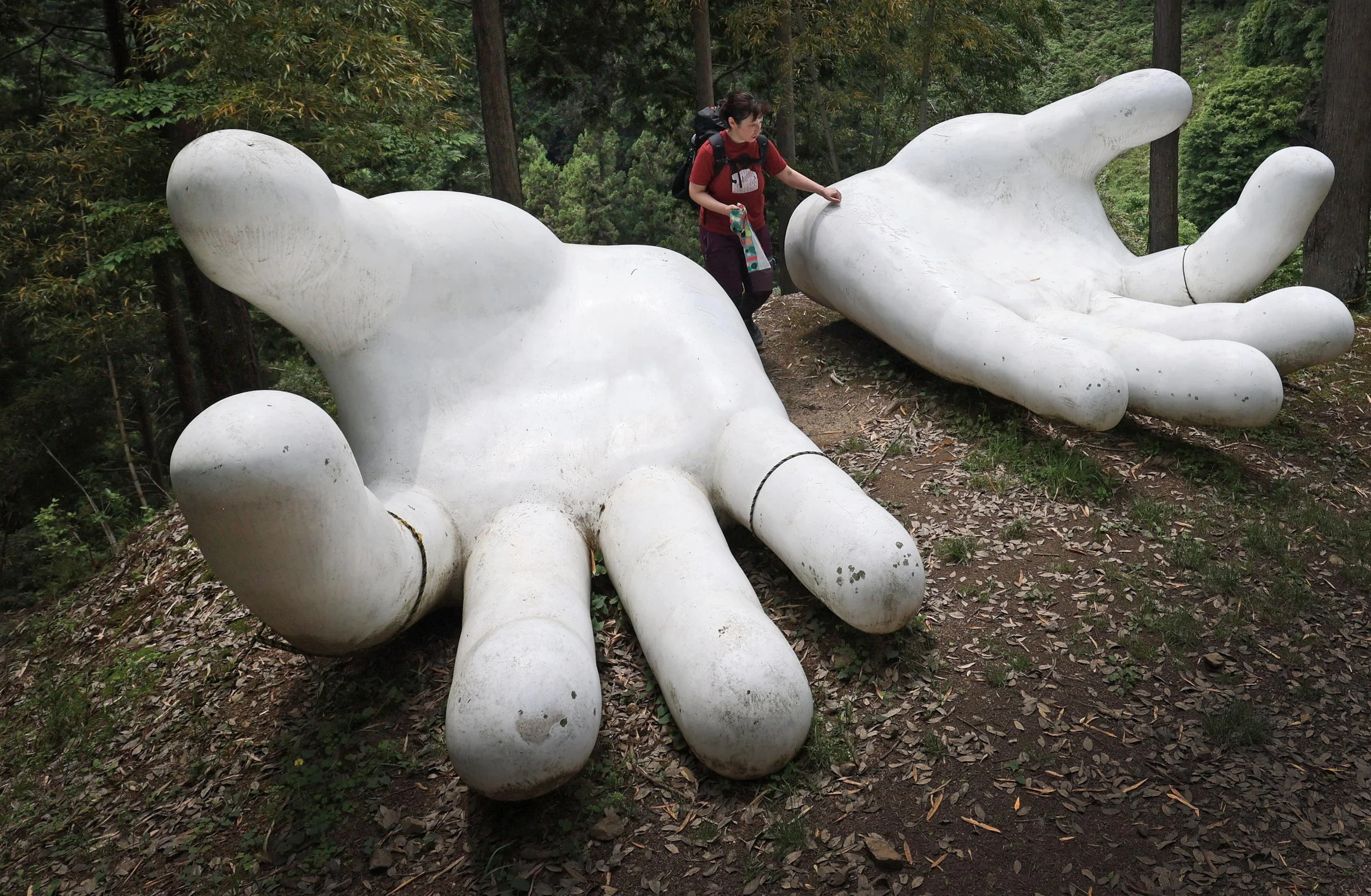 Massive White Hands in the Middle of the Forest - Nenogongen